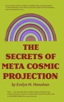 The Secrets of Meta-Cosmic Projection