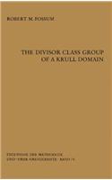 The Divisor Class Group of a Krull Domain