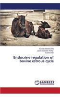 Endocrine regulation of bovine estrous cycle