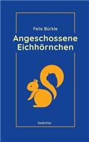 Angeschossene Eichhörnchen