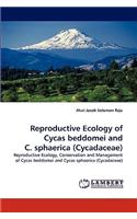 Reproductive Ecology of Cycas beddomei and C. sphaerica (Cycadaceae)