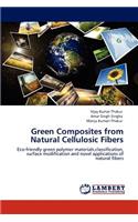 Green Composites from Natural Cellulosic Fibers