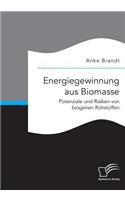 Energiegewinnung aus Biomasse. Potenziale und Risiken von biogenen Rohstoffen