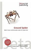 Ground Spider
