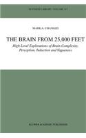 Brain from 25,000 Feet