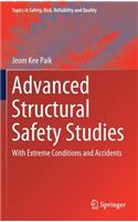 Advanced Structural Safety Studies