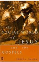The Social World of Jesus and the Gospels