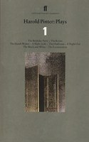 Harold Pinter Plays 1: The Birthday Party; The Room; The Dumb Waiter; A Slight Ache; The Hothouse; A Night Out; The Black and White; The Examination