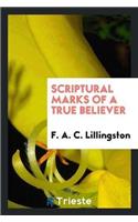 Scriptural Marks of a True Believer