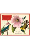 Audubon Warblers Sticky Notes