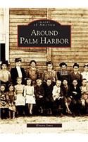 Around Palm Harbor