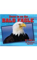 Zoom in on the Bald Eagle: (Zoom in on American Symbols)