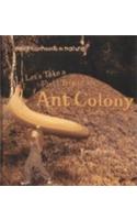 Let's Take a Field Trip to an Ant Colony: (Neighborhoods in nature)