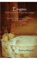 Enigma: The Phoenician Anthropoid Sarcophagus: Travelling to the past of northern Phoenicia through its material culture