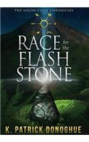 Race for the Flash Stone
