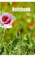 Notebok