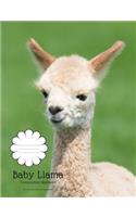 Baby Llama Composition Notebook