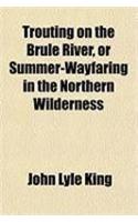 Trouting on the Brule River, or Summer-Wayfaring in the Northern Wilderness