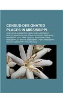 Census-Designated Places in Mississippi: VanCleave, Mississippi, Pearl River, Mississippi, Hurley, Mississippi, Big Point, Mississippi(English)