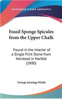 Fossil Sponge Spicules from the Upper Chalk