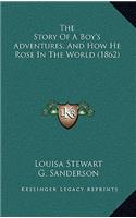 The Story Of A Boy's Adventures, And How He Rose In The World (1862)