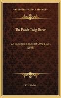 The Peach Twig-Borer