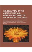 General View of the Agriculture and Domestic Economy of South Wales (Volume 1); Containing the Counties of Brecon, Caermarthen, Cardigan, Glamorgan, P