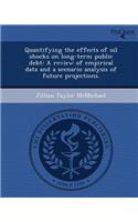 Quantifying the Effects of Oil Shocks on Long-Term Public Debt: A Review of Empirical Data and a Scenario Analysis of Future Projections