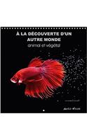 A Decouverte D'un Autre Monde Animal Et Vegetal 2018