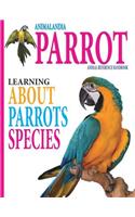 Animalandia Parrot
