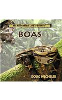 Boas