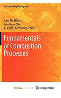 Fundamentals of Combustion Processes