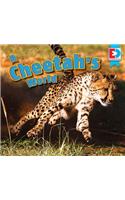 Cheetah's World