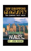 Jaw-Dropping Geography: Fun Learning Facts about Wonderful Wales: Illustrated Fun Learning for Kids