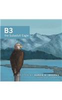 B3 the Subadult Eagle