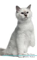Birman Cat Affirmations Workbook Birman Cat Presents: Positive and Loving Affirmations Workbook. Includes: Mentoring Questions, Guidance, Supporting You.