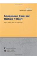 Cohomology of Groups and Algebraic K-theory