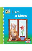 I Am a Kitten