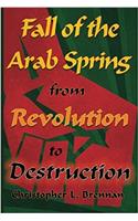 Fall of the Arab Spring