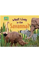 What Lives in the Savanna?