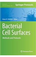 Bacterial Cell Surfaces