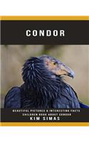 Condor