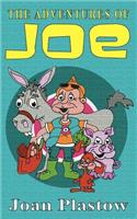 The Adventures of Joe