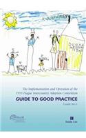 Hague Conference Guide to Good Practice on Intercountry Adoption