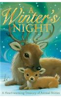 A Winter's Night: (Animal Anthologies)
