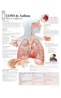 Copd/Asthma Chart