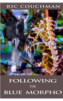 Following the Blue Morpho