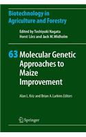 Molecular Genetic Approaches to Maize Improvement