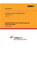 Rohstoffreichtum der Entwicklungsländer. Fluch oder Segen?
