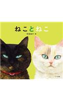 Cat and Cat